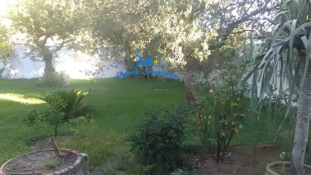 Ein Außergewöhnliches Wohnambiente