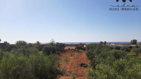 Außergewöhnliche Agrarland-Chance in Daroufa, Nabeul