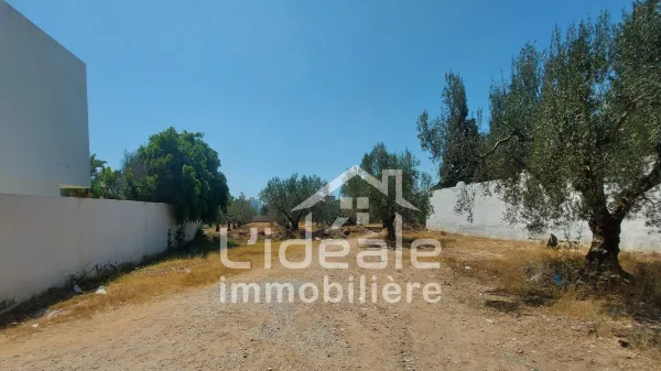 Außergewöhnliche Landgelegenheit in Hammamet Nord