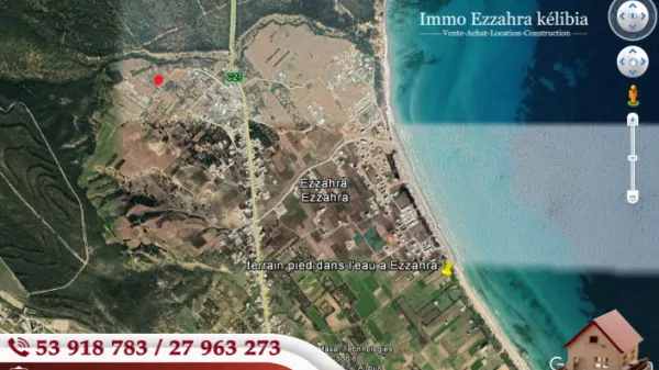 Ihre Neue Oase der Ruhe