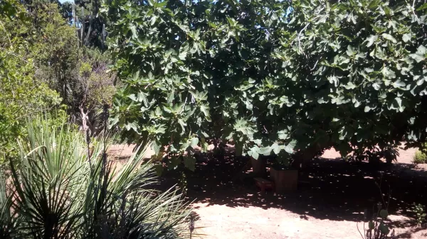 Luxusvilla zur Verkauf in El Menzeh, Tunis - 2.200.000 TND