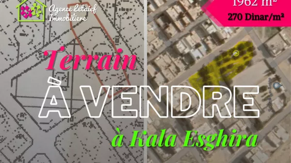 Außergewöhnliche Gelegenheit