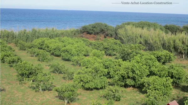 Ein Grüner Friedenshort