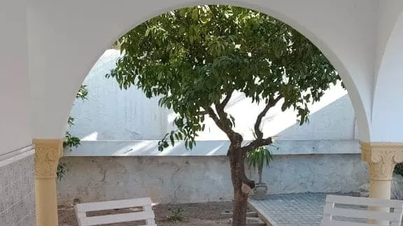 Maison Dali 2: Ihr Ideales Zuhause in Hammamet