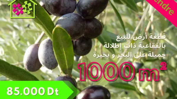 Atemberaubende Blickparzelle in Foukaia Chatt Meriem