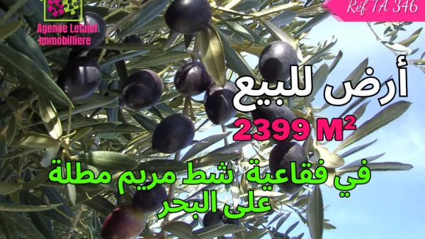 Landwirtschaftliche Fläche mit atemberaubendem Blick in Foukaia Chatt Meriem