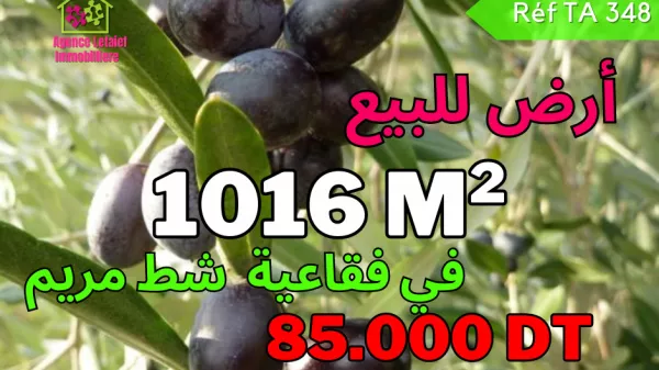 Einführung in das Objekt