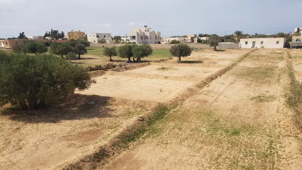 Baugrundstück in Djerba zum Verkauf - Eine Große Gelegenheit Zum Greifen!