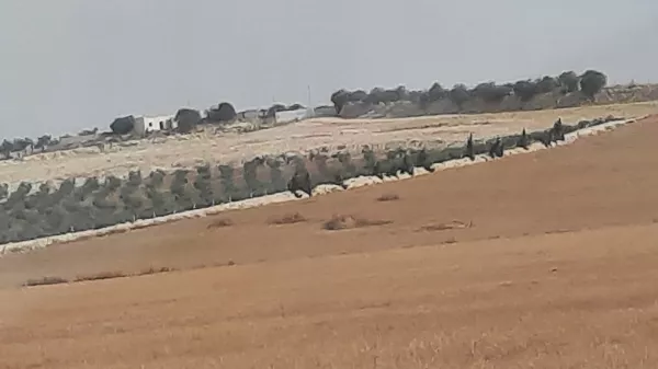 Landwirtschaftliche Flächen zum Verkauf in Tunis