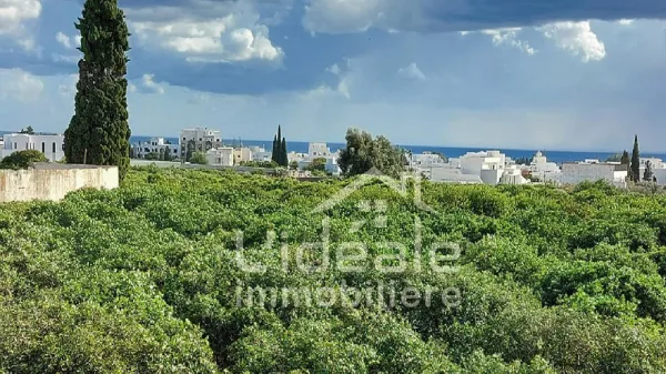 Geräumige Villa-Wohnung zur Miete in Hammamet
