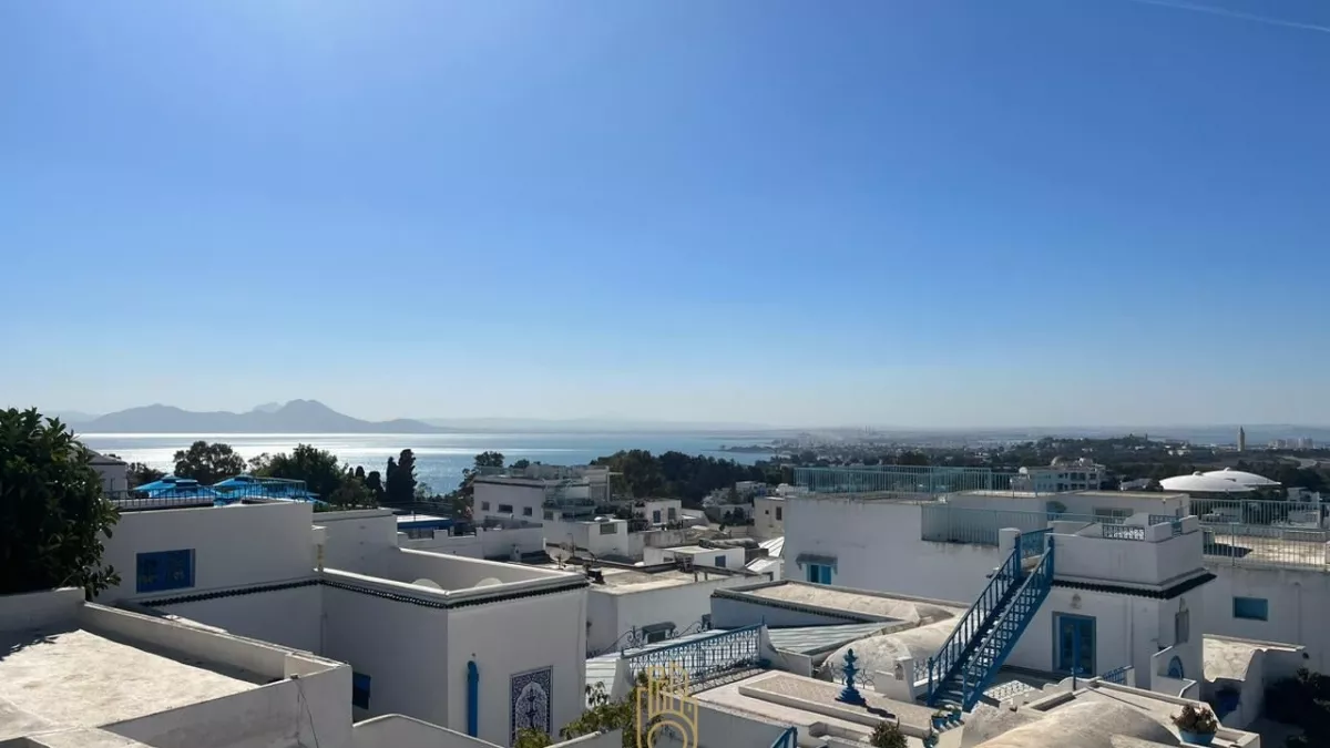 Charmantes Arabesken-Stil S+3 Haus in Sidi Bou Saïd: Ein Refugium der Eleganz