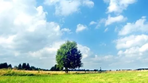 Außergewöhnliches landwirtschaftliches Grundstück in Ariana zum Verkauf - Eine einzigartige Gelegenheit!