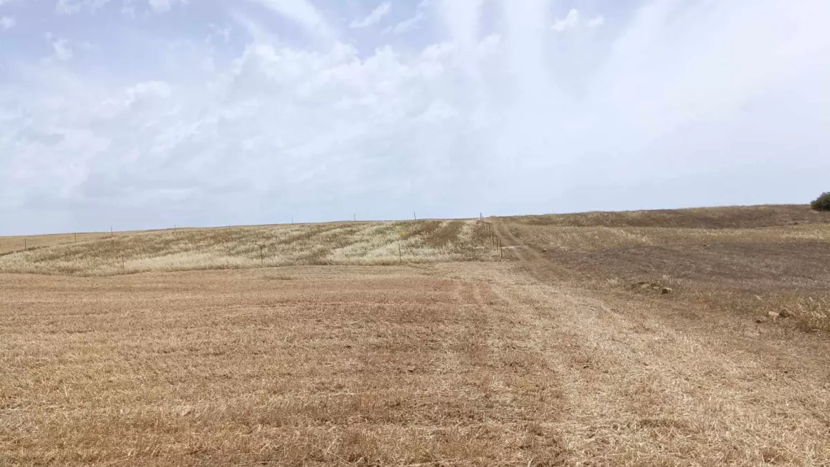 Ausgezeichnetes 5000m² Grundstück in Hammamet Sud: Eine Einmalige Gelegenheit!