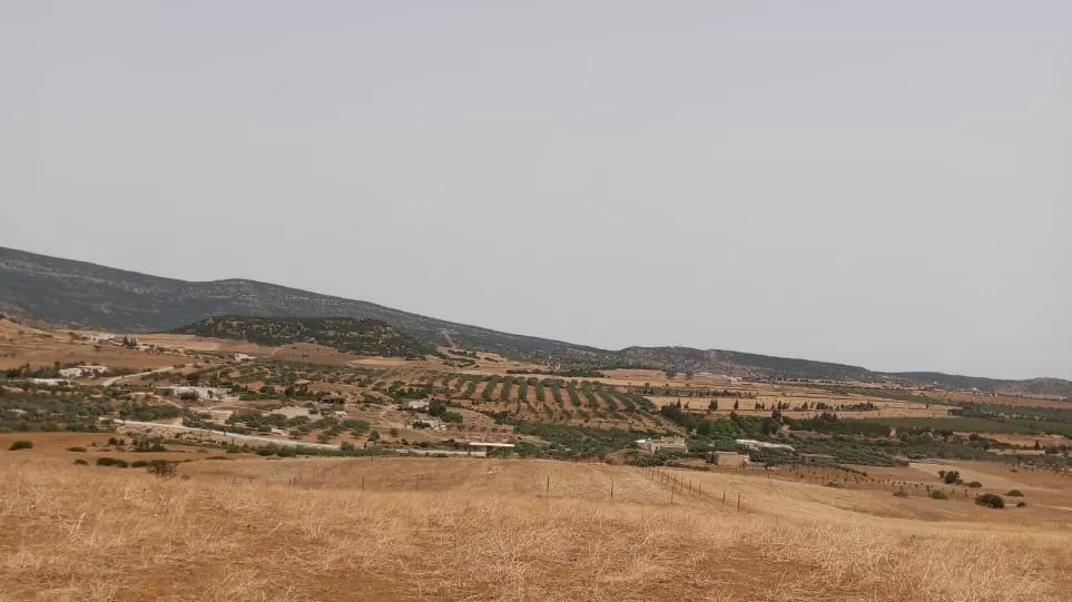 Außergewöhnliches 17.000m² Grundstück in Hammamet: Eine Einmalige Gelegenheit!