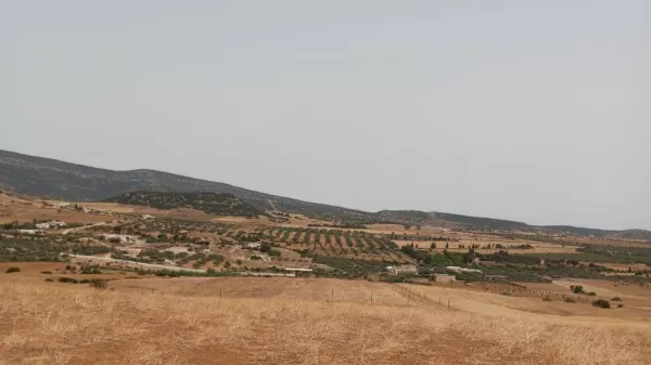 Außergewöhnliches 17.000m² Grundstück in Hammamet