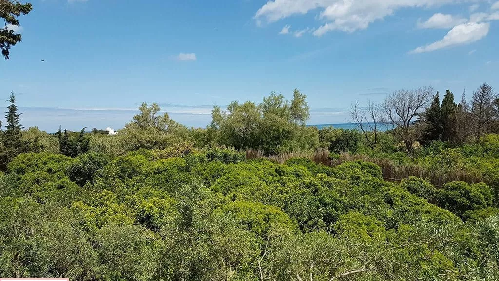Verstreute Bauweise von 2 Studios in Bizerte - Ein Hort der Ruhe im Herzen der Landschaft