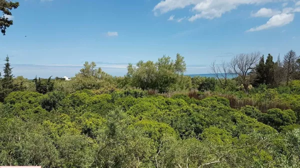Verstreute Bauweise von 2 Studios in Bizerte - Ein Hort der Ruhe im Herzen der Landschaft