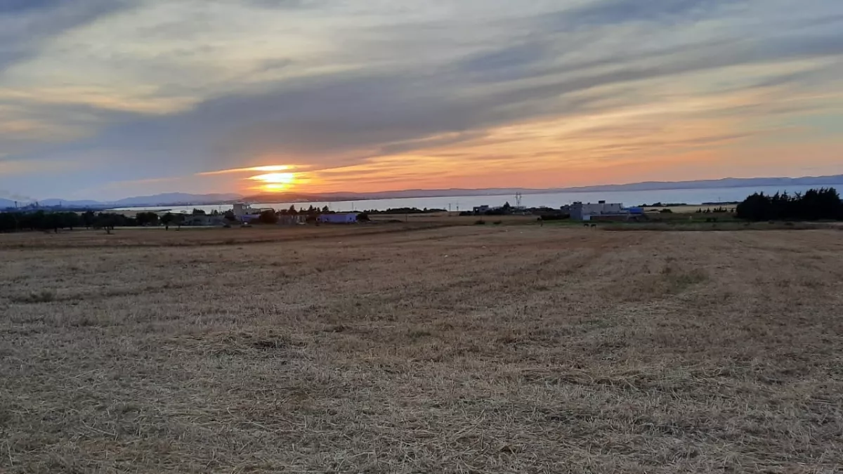 1000 m² Grundstück – Nahe Menzel Bourguiba