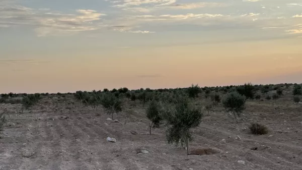 Einzigartige Gelegenheit