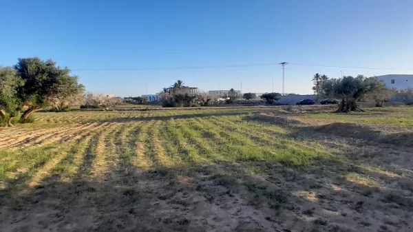 Trauminvestition in Mezraya, Djerba