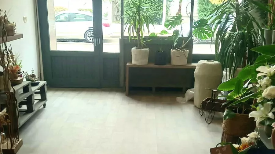 Gewerbliche Immobilie zum Verkauf - Berges du Lac