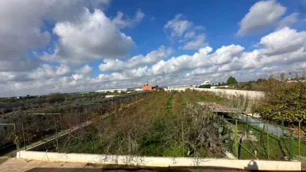 Bauernhof in Menzel Temime