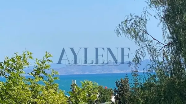 Luxus-Villa mit Meerblick in Karthago