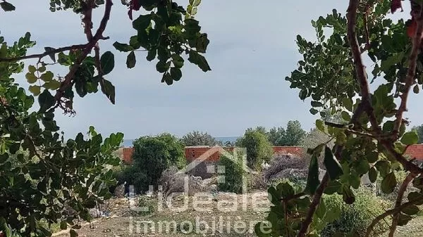 Terreno Esclusivo in Vendita a Hammamet Nord: Un'Opportunità di Investimento di Prima Categoria