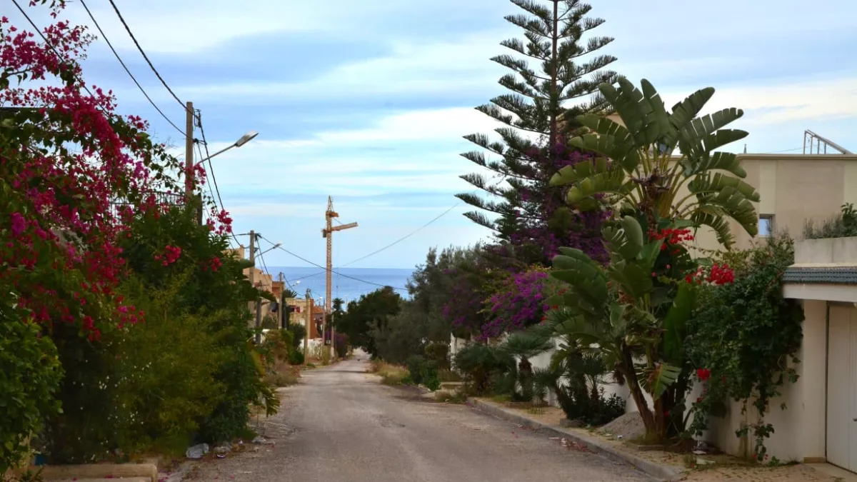 Bellissimo Terreno in Vendita a Chot Meriem