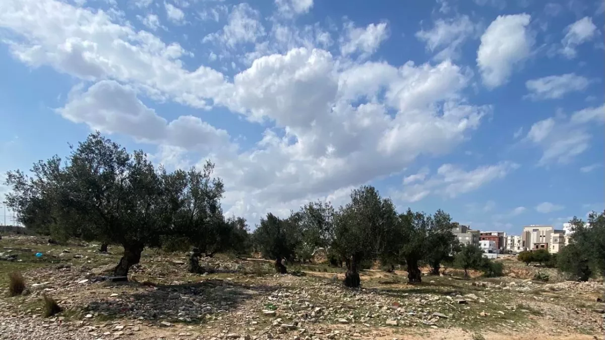 Außergewöhnliches Grundstück zum Verkauf zwischen City Olympique und Sahloul in Sousse