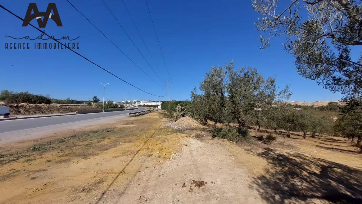 Terreno Industriale in Vendita: 28 Ettari sulla Strada per Tunisi, Nabeul
