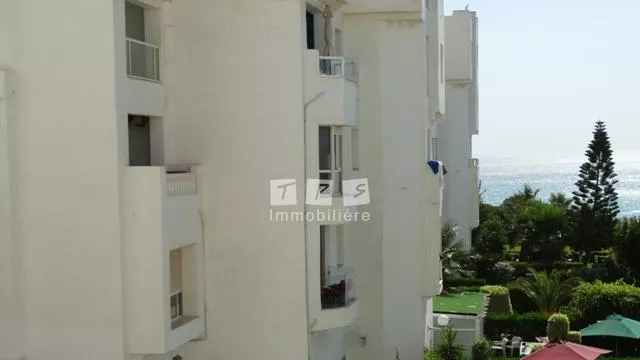 Introduction to Paradise