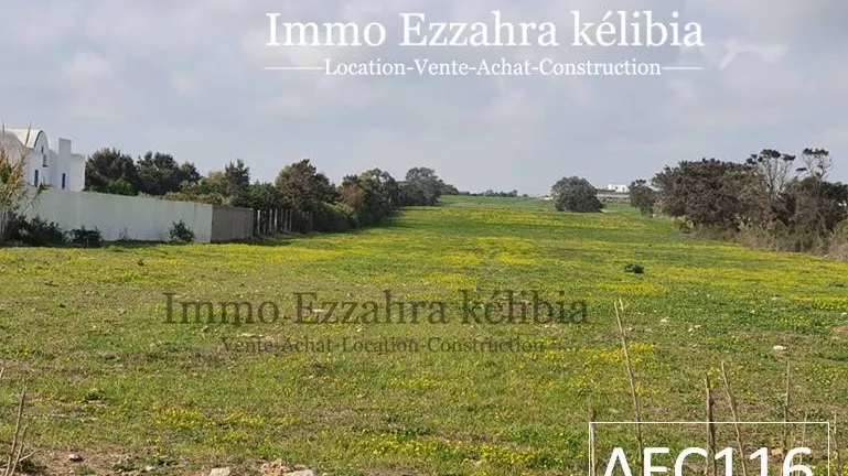 Entdecken Sie den Charme von HAOUARIA mit diesem Außergewöhnlichen Grundstück