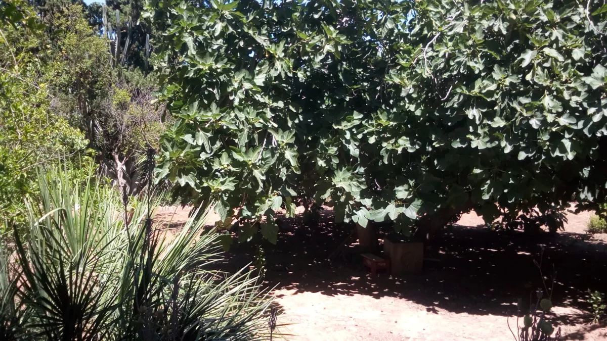 Villa di Lusso in Vendita a El Menzeh, Tunisi - 2.200.000 TND