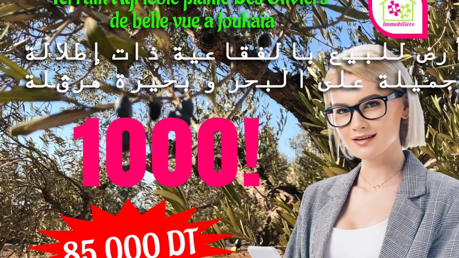 Terreno Agricolo da Sogno a Foukaia Chott Meriem, Sousse