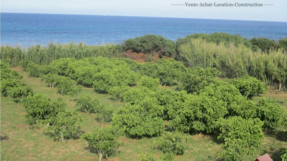 Un Rifugio di Pace Verde