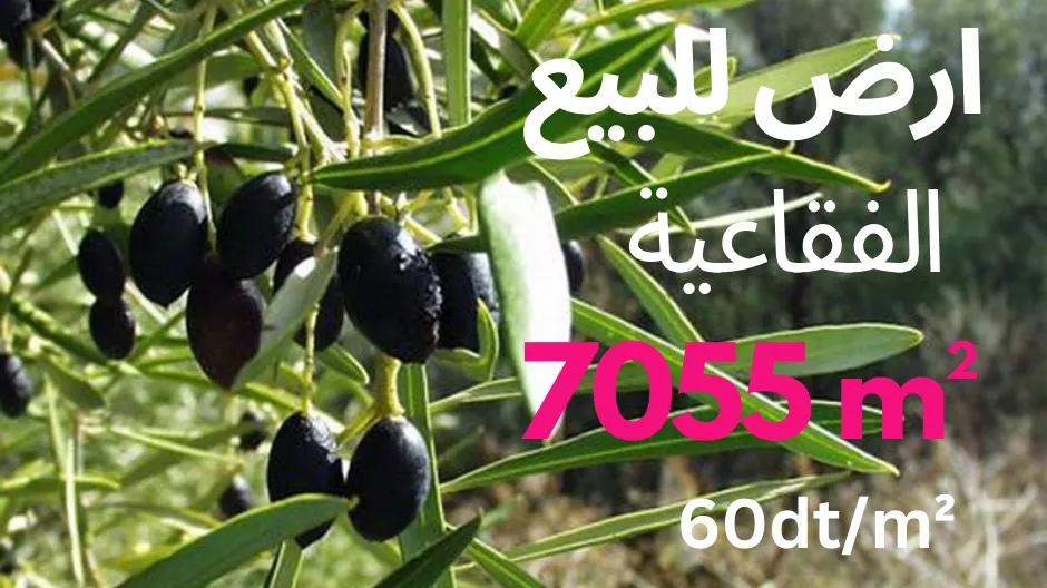 Exceptional Opportunity: Land Purchase in Sousse Are you looking for the perfect plot of land to build your dream project?