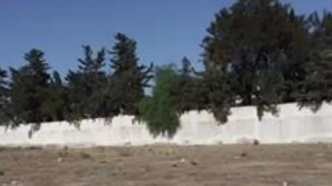 Exceptional 550m² Plot in Bhar Lazreg: A Unique Opportunity!