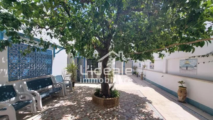 Leila House in Nabeul: A Haven of Peace and Elegance