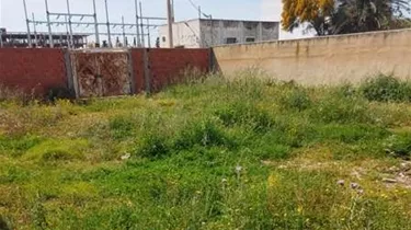 Introduzione alla Perla Nascosta di La Marsa