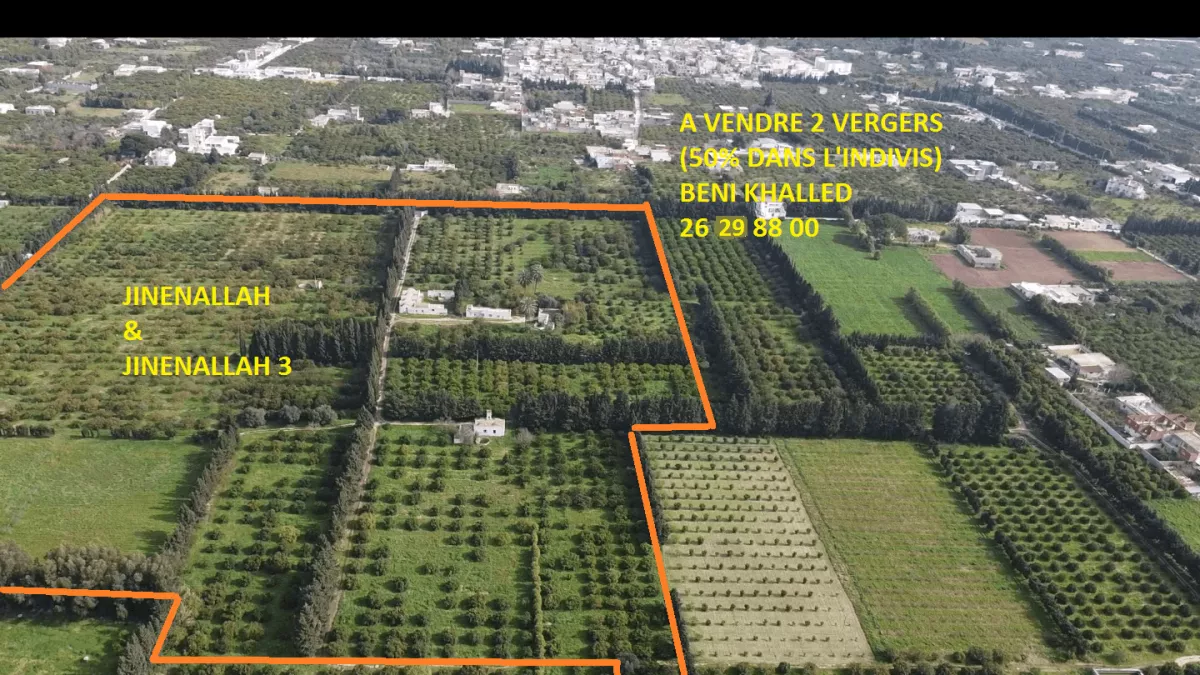 Invest in the Thriving Agricultural Sector of Cap Bon