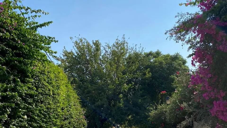 Ihr Neues Refugium der Ruhe: Duplex Eduarda in Karthago Hannibal