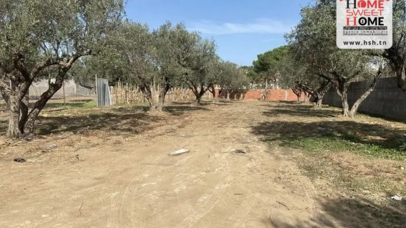 Il Tuo Progetto di Villa dei Sogni a Boumhal: Un'Opportunità Immobiliare di Prestigio