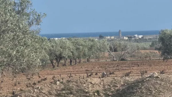 Dream Agricultural Land in Sidi Saïd, Bouficha - 1704m² with Sea View!