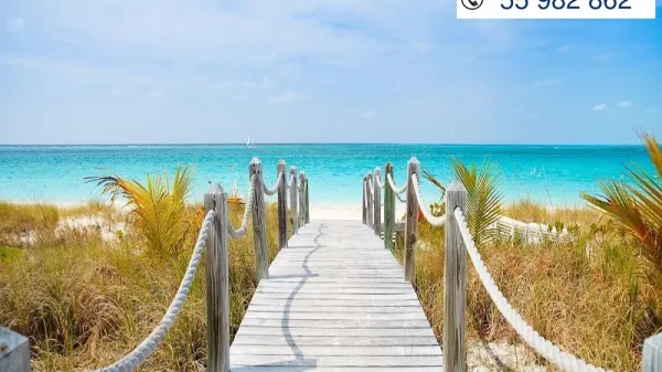 Exceptional 1000m² Plot for Sale in Dharoufa, Nabeul