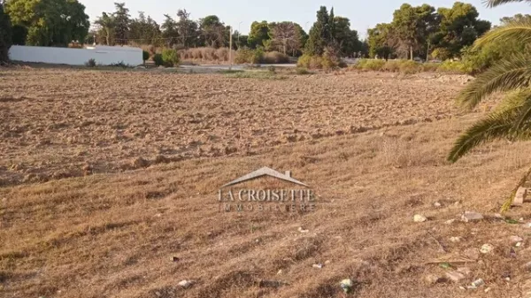 Introduction to a Unique Chance