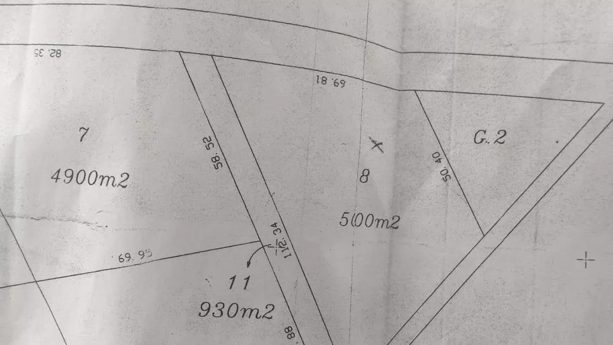 5000 m² Plot in Hammamet Sud - A Golden Opportunity for Investors and Homeowners