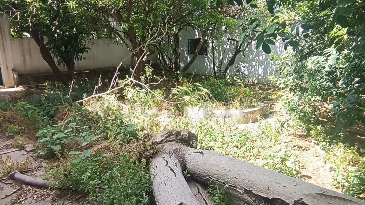 Independent Villa 850 m² in Bab Sâadoun: An Exceptional Investment Opportunity in Tunis