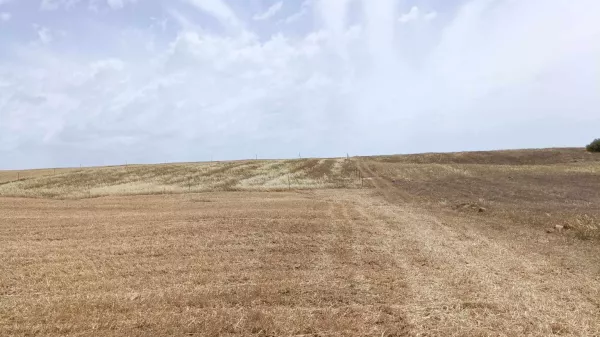 Exceptional 5000m² Plot in Hammamet Sud