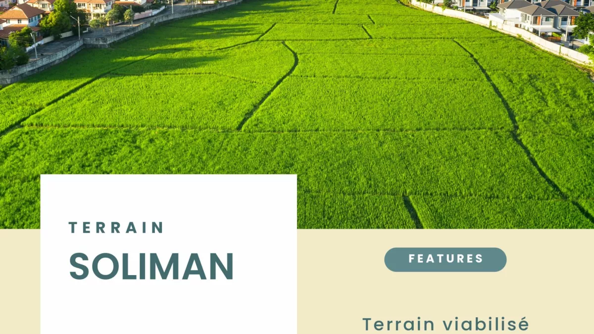 Traumland zum Verkauf: 463m² Grundstück nahe dem Strand in Soliman (La Plage District)